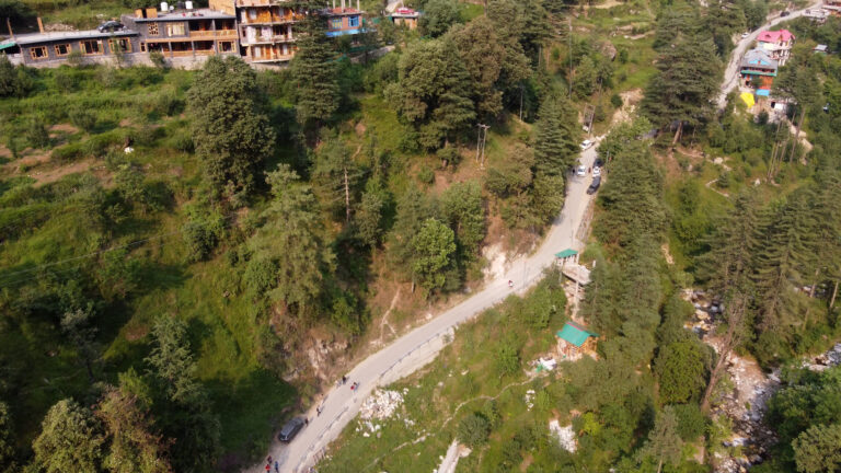 Aerial drone shot of a winding path through pine forests in Jibhi, Himachal Pradesh