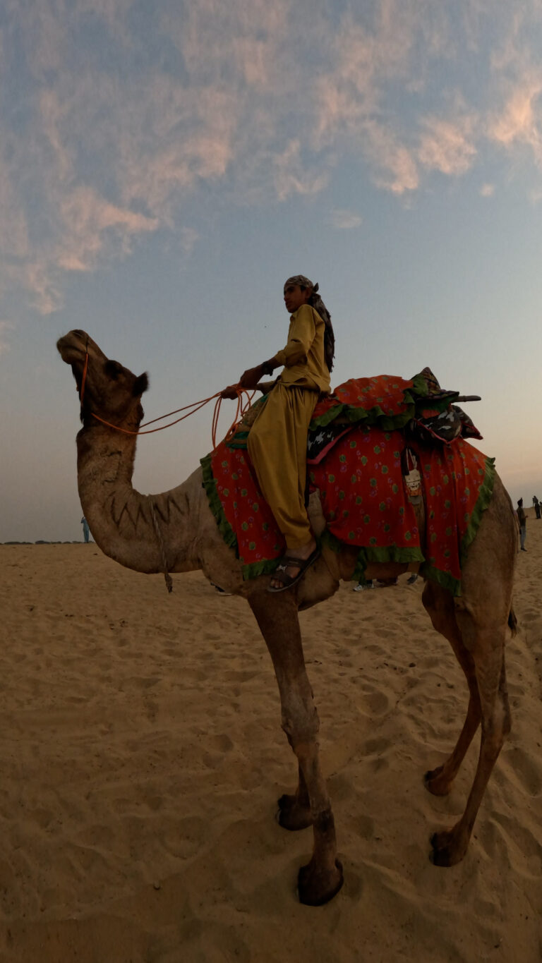 A classic shot capturing the authentic experience of a camel safari in Jaisalmer, Rajasthan. The video features a local rider in traditional attire guiding a decorated camel across the sandy terrain of the Thar Desert. The warm, soft light of the setting sun creates a beautiful, nostalgic atmosphere. This footage is ideal for projects related to Indian culture, tourism, adventure travel, and nomadic lifestyles. It perfectly encapsulates the iconic and unforgettable journey of exploring the desert on camelback, offering viewers a glimpse into the timeless traditions of the region.